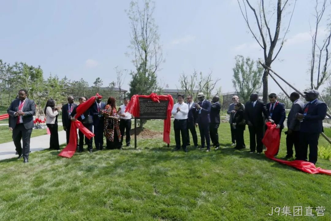 图片5