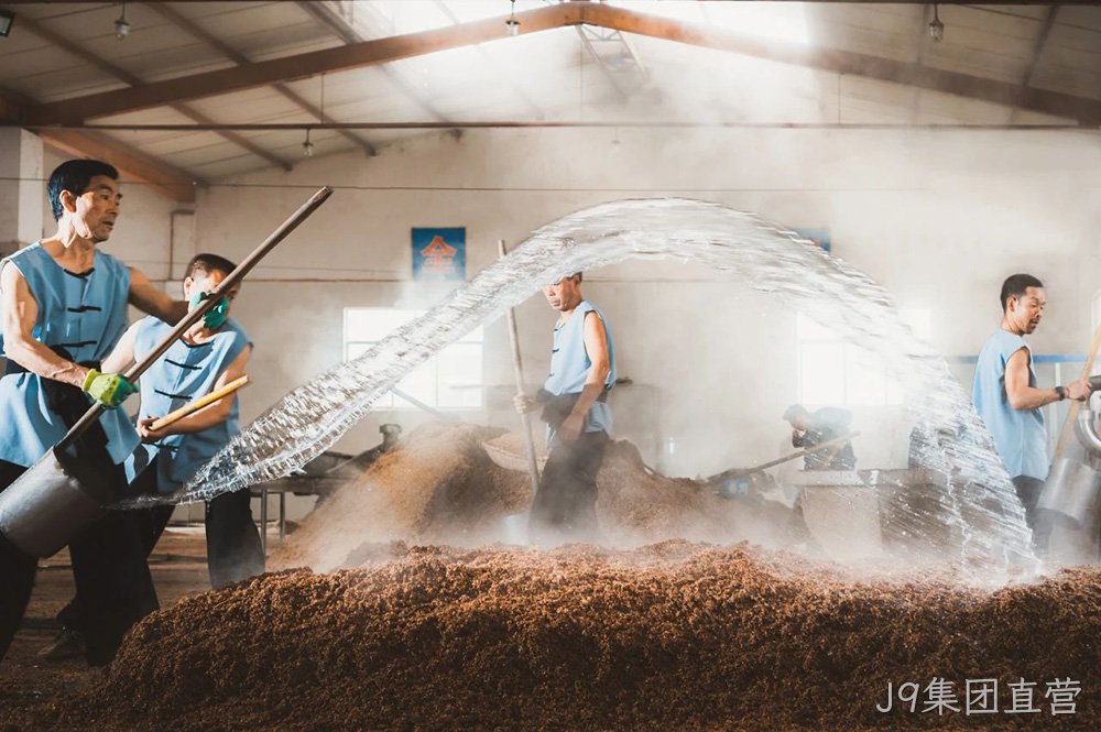 图片8 图片8